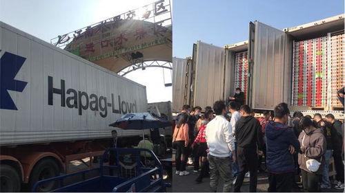 国产大型囤货现场视频下载,壮观囤货景象引热议 第2张 国产大型囤货现场视频下载,壮观囤货景象引热议 第2张